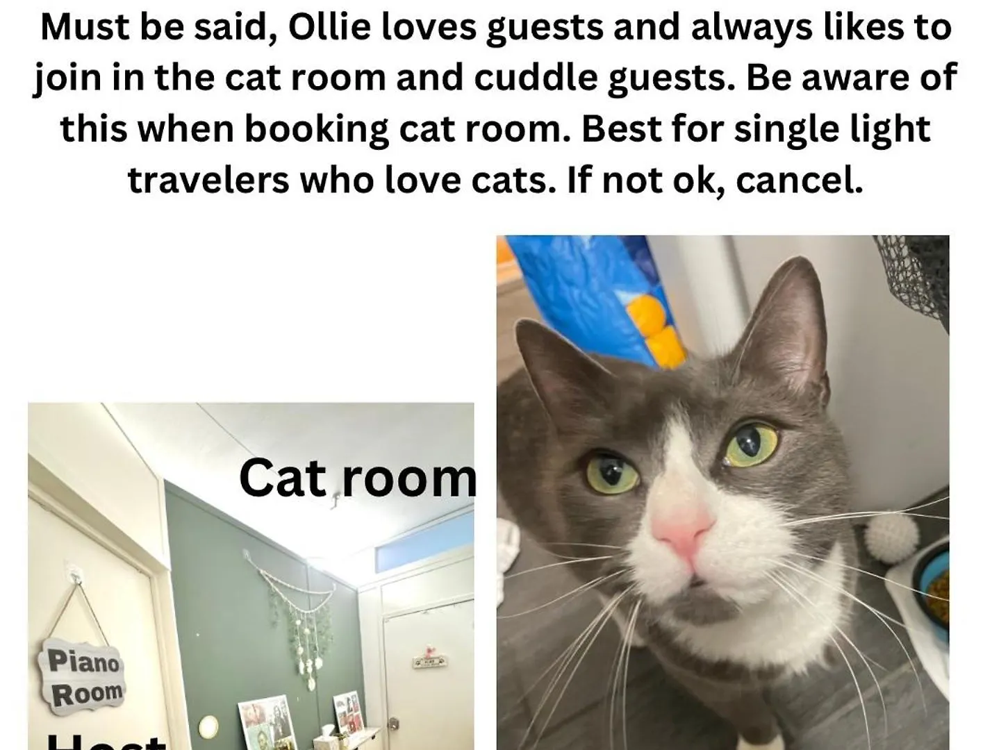 Cat Room By Delicate Stays Living Room Conversion Shared Space Room Only Cat Friendly Only 25 Min To Time Square New York Apartment